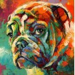 Boxer